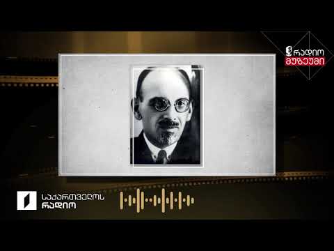 მიხეილ ჯავახიშვილი - „ტყის კაცი“