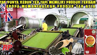 BEGINI PROSES PEMBUATAN TEH CELUP DI PABRIK MODERN | PROSES PERJALANAN TEH DARI KEBUN KE KONSUMEN