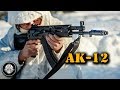 АК-12. Стрельба по два, очередью и одиночными. Новый автомат Калашникова на форуме Армия-2018