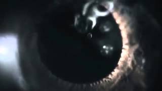 Best Windows Dreamscene Ever 1080P Hd Youtube