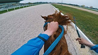 NEW RECORD!!! 1. Place, Graded 3 Race 1400 m |1:25:7 | Zwegat (GER) | Kincsem park, Budapest | GoPro screenshot 2