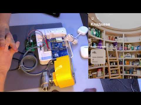 Neptun Smart+ в HomeKit