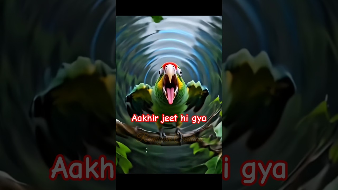 tota aur kabutar ki mehnat #facts #cartoon #viral #shortvideos