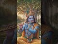 जब कान्हा बांसुरी बजाते हैं… तब आत्मा भी सुनने लगती है #kanha #radhakrishna #harekrishna #vrindavan