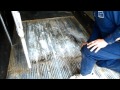 Trailer Talk Ep 3 - Keeping Up With Your Trailer Floor