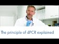 The principle of dpcr explained  absolute not relative