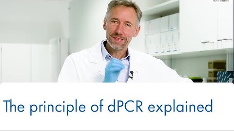 The principle of dPCR explained – Absolute, not relative