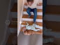 先回りして赤ちゃんを守る🐱 | #shorts #animals #baby