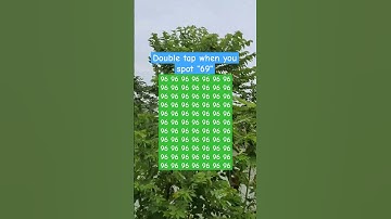Find 69 IQ test #puzzle #find #quiz #finding #challenge #brainteaser #iqtest #ytshorts