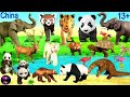 Animals - Tiger Elephant Panda Red Panda Lynx Alligator Tortoise Wolverine Pangolin Deer 13+