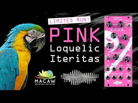 Pink Loquelic Iteritas limited edition Eurorack module from Noise Engineering