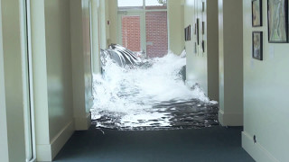 Hall Flood
