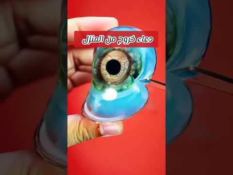 منوعات اسلاميه