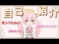 【新人Vtuber】はじめまして!可愛川こももです!【自己紹介動画】