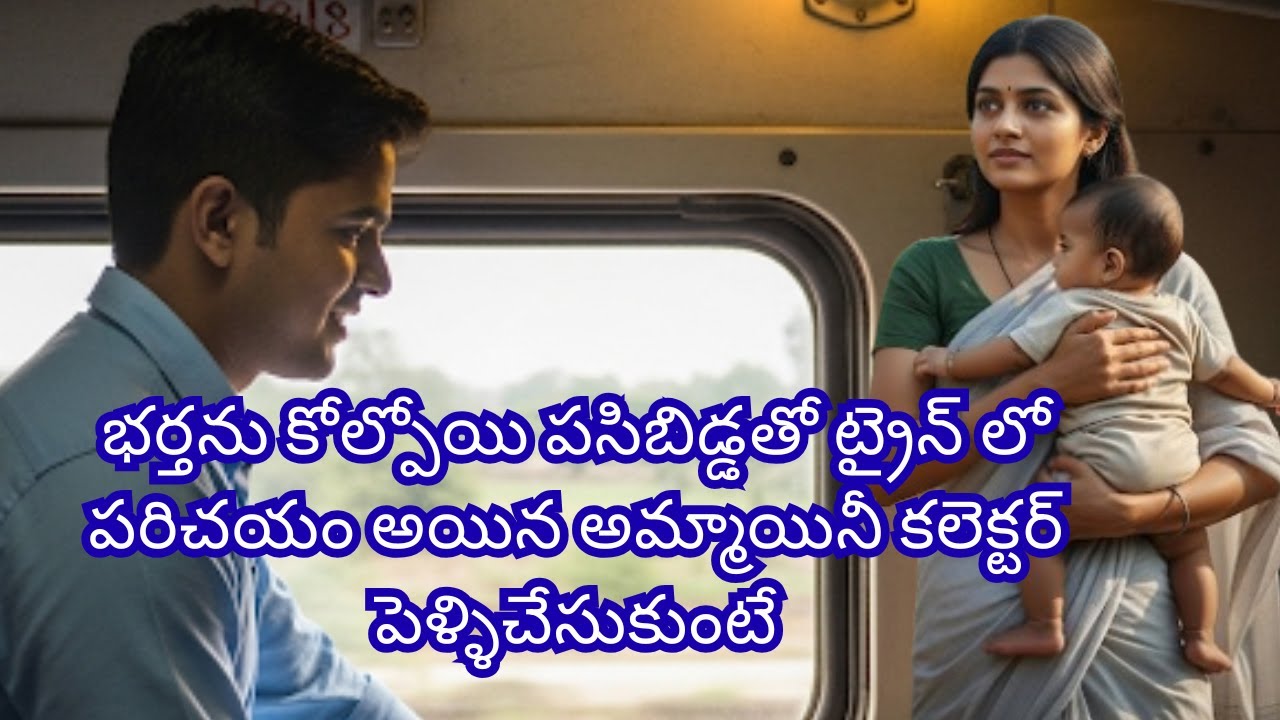 భర్తను కోల్పోయి పసిబిడ్డతో ట్రైన్ లో పరిచయం అయిన అమ్మాయినీ కలెక్టర్ పెళ్ళిచేసుకుంటే