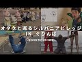 オタクと巡るシルバニアビレッジ in ぐりんぱ 〜安息の地を汚染する歩く病原菌〜 #シルバニア #シルバニアファミリー #ぐりんぱ #静岡 