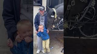 Heartwarming Moment: Cute Boy Poses with Kings Guard Horse! He Reaction is Priceless! #shorts