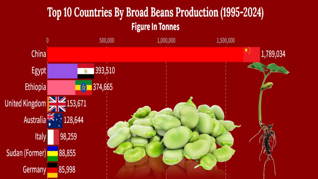 Top 10 Countries By Broad Beans Production (1995 2024) YouTube