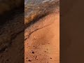 Река Волга этим летом подарила много эмоций