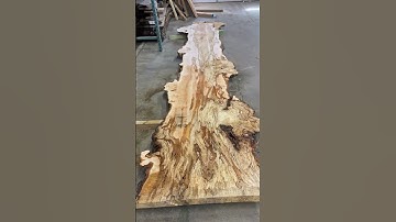 The spalting and burl wood on this hard maple live edge slab makes it truly one of a kind! #shorts