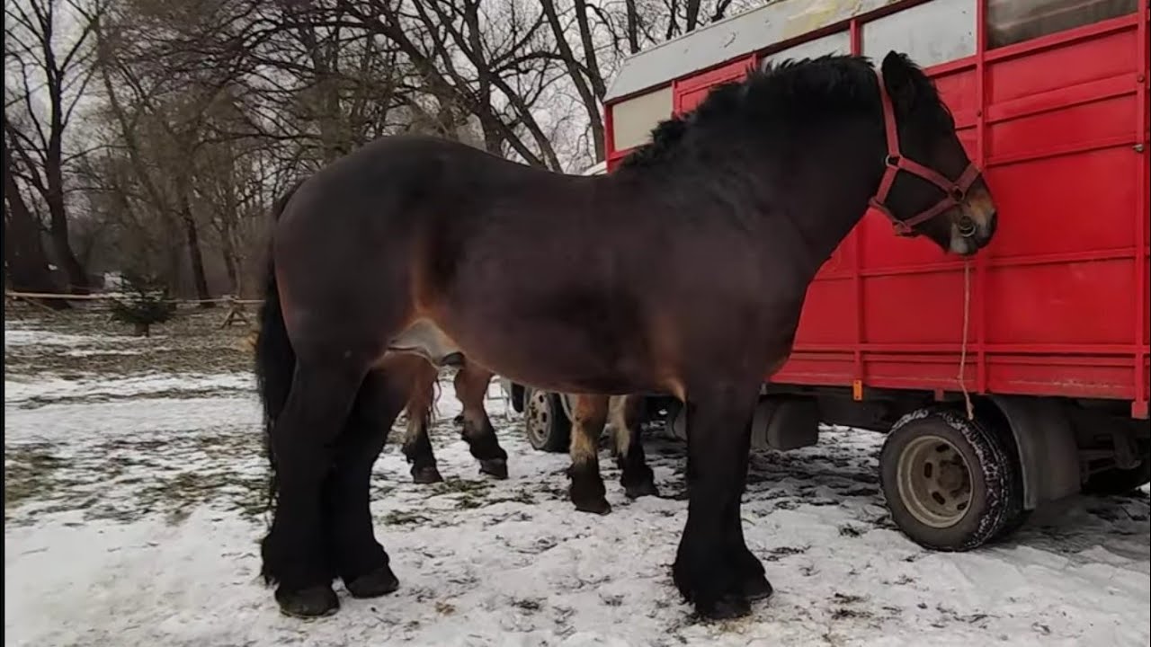  Wengierska Gorka 1.02.2026 Polska 🇵🇱🇵🇱🇵🇱
