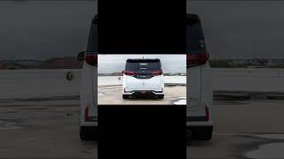 Toyota Alphard 40 S-Sport Bodykit