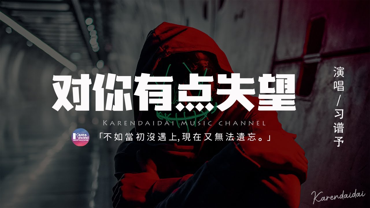 習譜予 對你有點失望 不如當初沒遇上 現在又無法遺忘 動態歌詞 Pinyin Lyrics Youtube