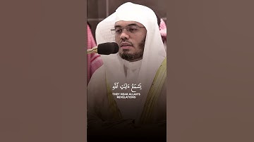 ويل لكل أفاك أثيم#سورة_الجاثية #قرآن #القرآن_الكريم #قران_كريم #راحة_نفسية #قرآن #لايك