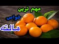 مهم ترین خواص مالته برای سلامتی مهم ترین خواص مالته برای سلامتی