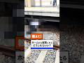 阪神電車【公式】教えて!阪神電車の藤川くん「#14 ホームから転落したらどうしたらいい?」#阪神電車#short#転落※安全に配慮して撮影しています