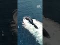 Israeli army footage of navy drills in Mediterranean, Red Sea