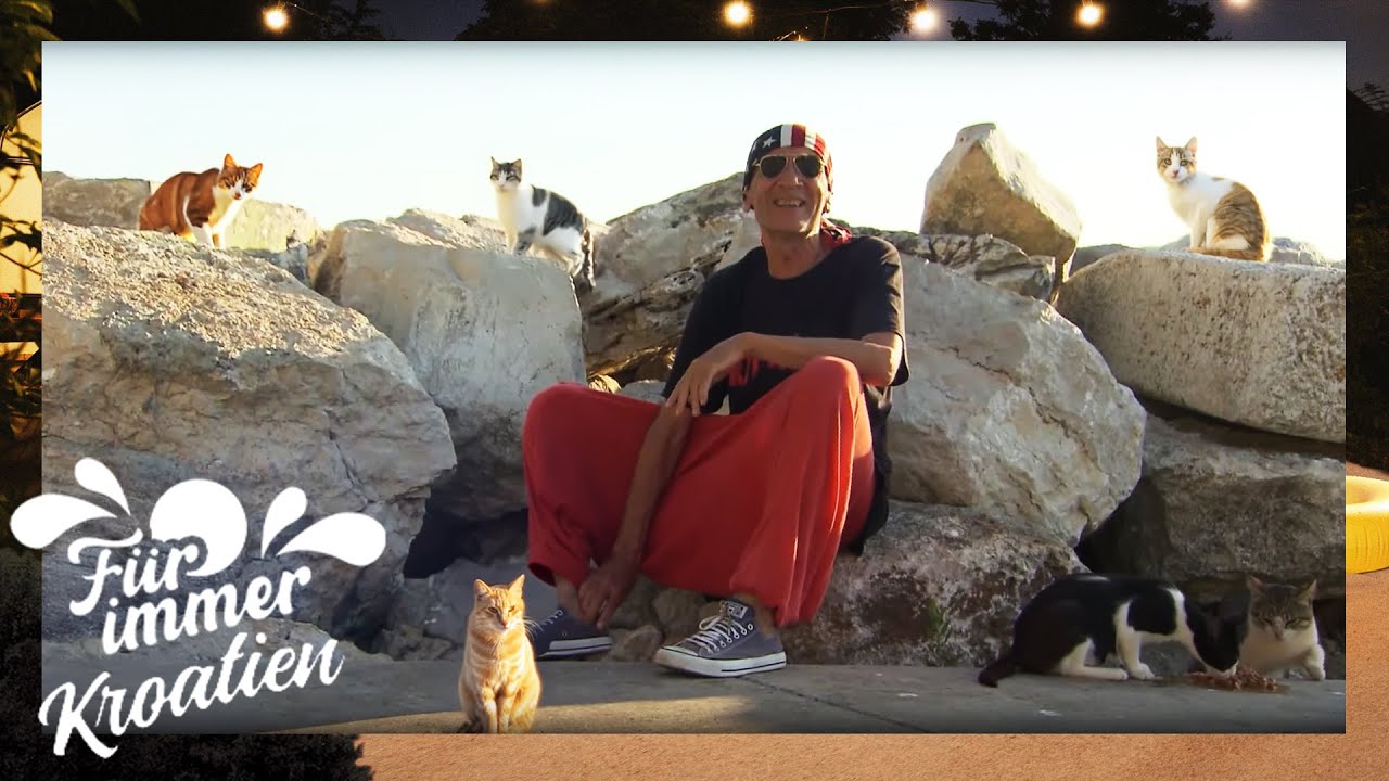 So lebt der Katzenmann von Rovinj 🐈 Überlebenskünstler und Tierfreund 🥰 | Für immer Kroatien | ATV
