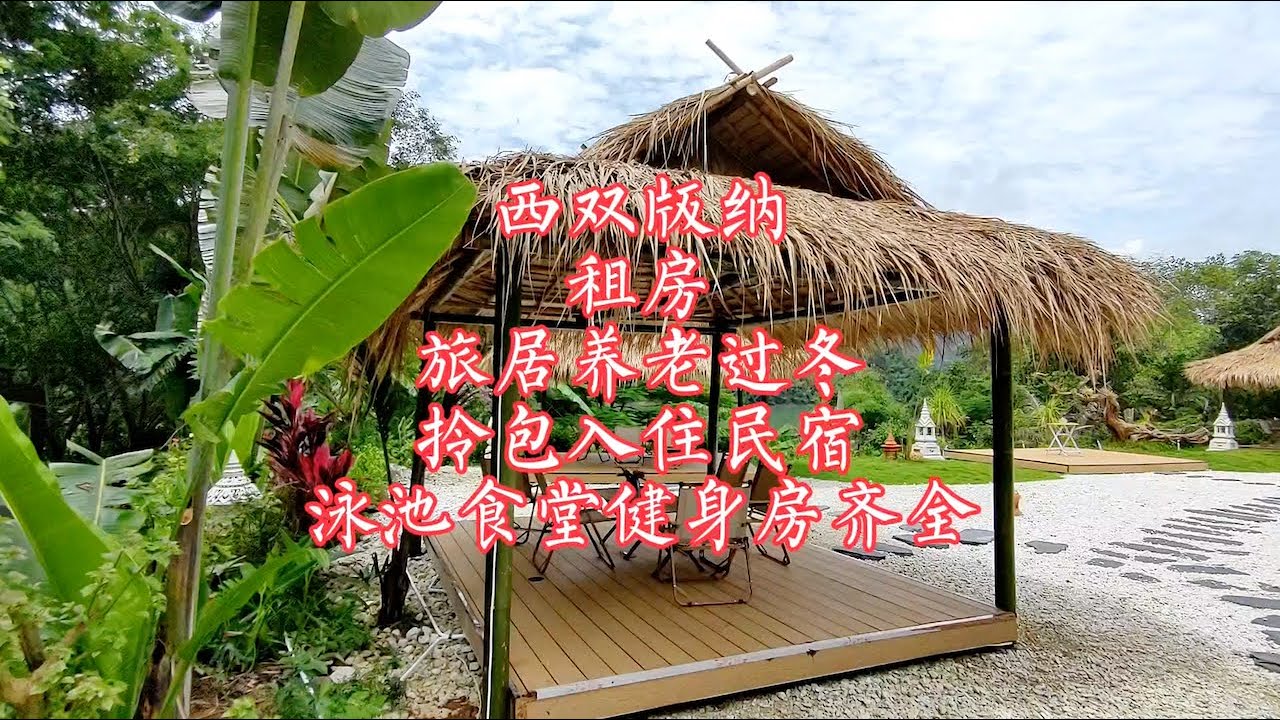 【小龙在版纳】西双版纳，租房旅居养老过冬，自由搭配选择。2023-8-31 - YouTube