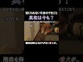 奇跡の犬！ 階段を降りようはずがない愛犬が Moving! A miraculous dog that cares for its owner