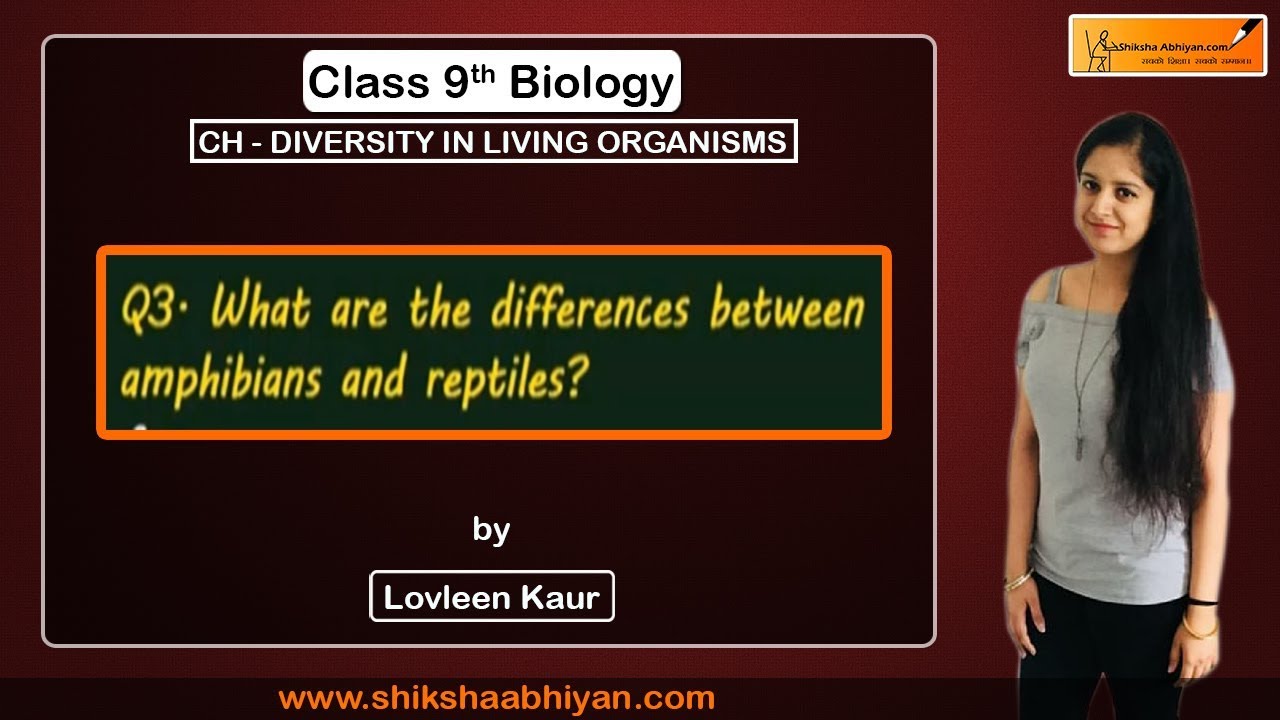 Q3 What Are The Differences Between Amphibians And Reptiles YouTube