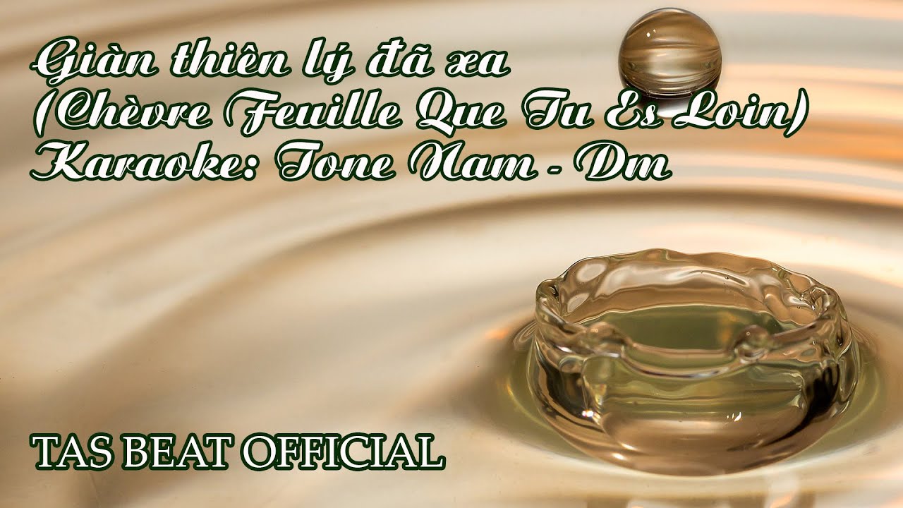Karaoke Giàn thiên lý đã xa - Tone Nam | TAS BEAT