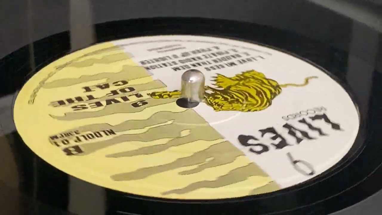 Top Cat - Push Up You Lighter レコード 【公式通販】