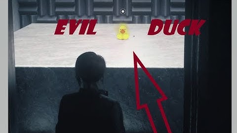 Control Black Rock Lab