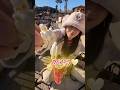みんなは何味が好き?#ディズニーランド #ショート #disneysea #disneyland