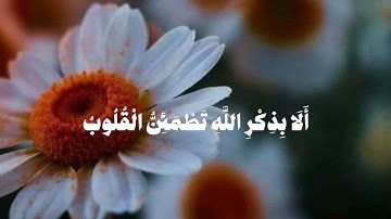 ٱلَّذِينَ ءَامَنُواْ وَتَطۡمَئِنُّ قُلُوبُهُم بِذِكۡرِ ٱللَّهِۗ (سورة الرعد)#محمد_ايوب #فلسطين_حرة 