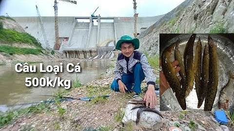 Câu Cá Đập Eahleo Cao To Nhất Đắk Lắk , Đập Nhiều Cá Chạch Ngon