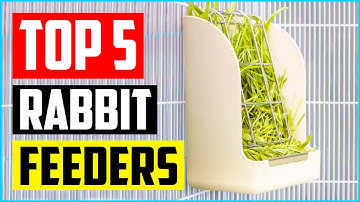Top 5 Best Rabbit Feeders for Cages of 2021 Review
