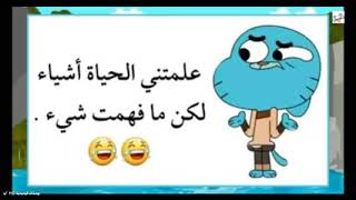 مع قامبول يموت ضحك