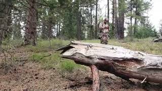 First Montana Turkey Hunt 2022! Didn't expect this! by Retirement with Pete 411 views 1 year ago 11 minutes, 18 seconds