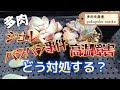 この季節に起きやすい「ジュレ」「バラバラ事件」「高温障害」どう対処する? 多肉生産者「pukupuku taniku」