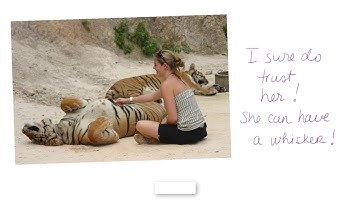 The Tiger’s Whisker