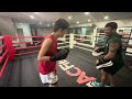 Muay Thai Boxing Day (Even Many More Ultimate Upgrades)