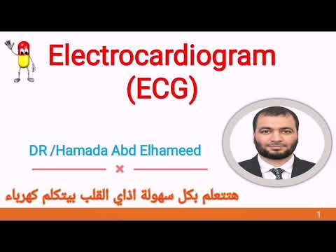 مستحيل ما تفهم رسم القلب بعد سماعك للمحاضرة دكتور حماده عبد الحميد  