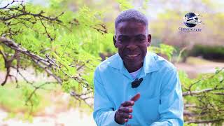 Let The Sunshine In Devotion - God's Handkerchief