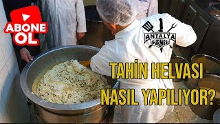 Tahin Helva Nasıl Yapılır ? Zamora Antalya